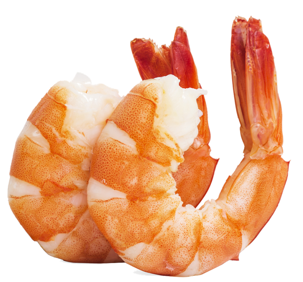 Braised prawns, the dish at the heart of the lesson